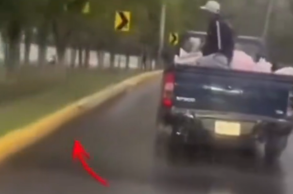 Por: Cortesía Sujeto lanza a gatitos desde un vehículo en movimiento
