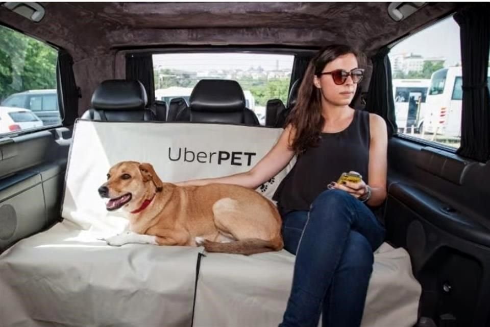 Por: Cortesía ¡Ya podrás viajar con tu mascota en Uber!