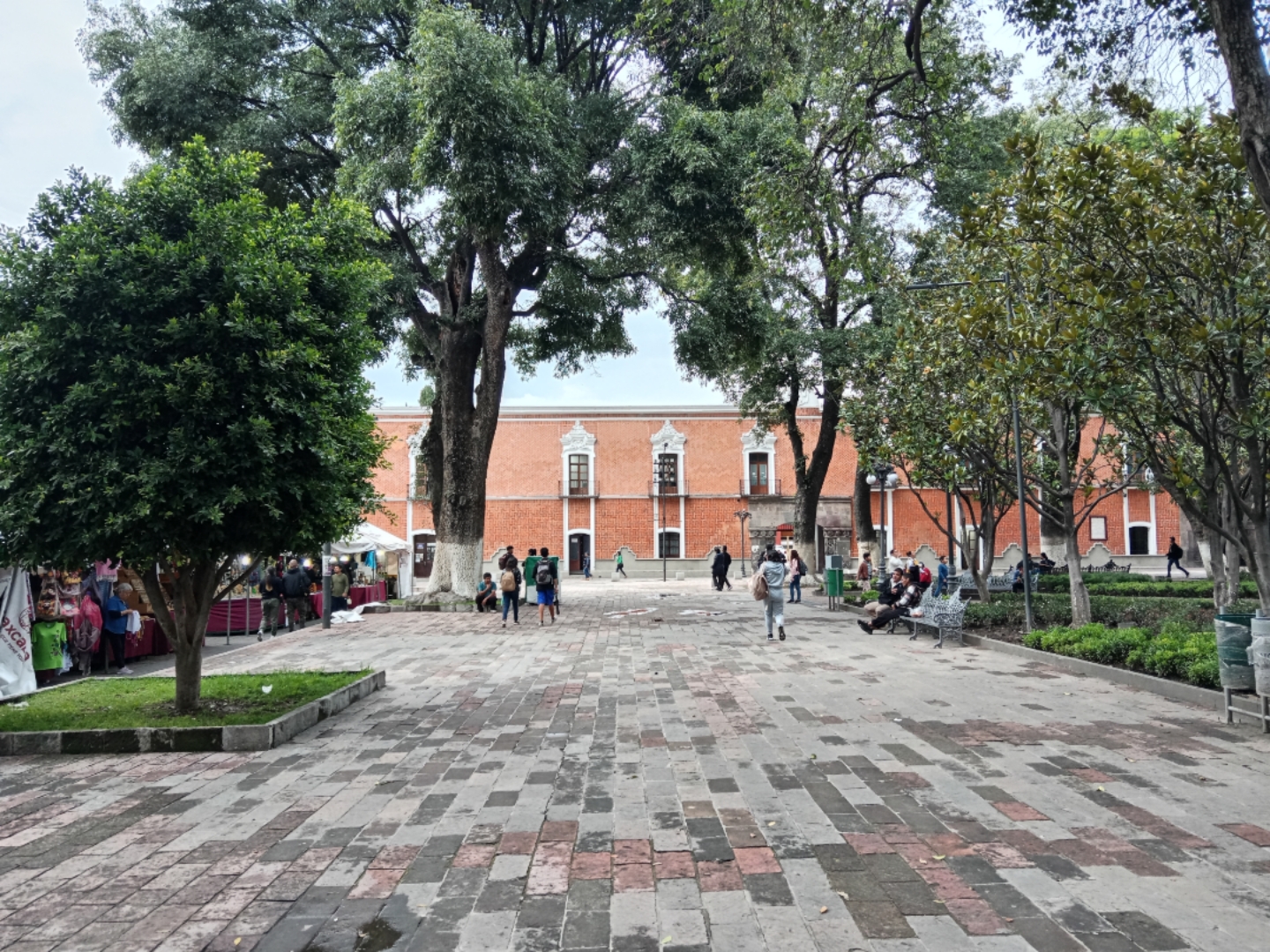 Supera Tlaxcala a 13 entidades por presencia de Covid-19