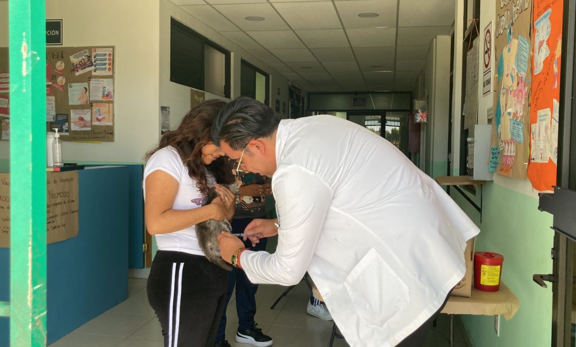 Se mantiene Tlaxcala libre de transmisión de rabia en animales y humanos