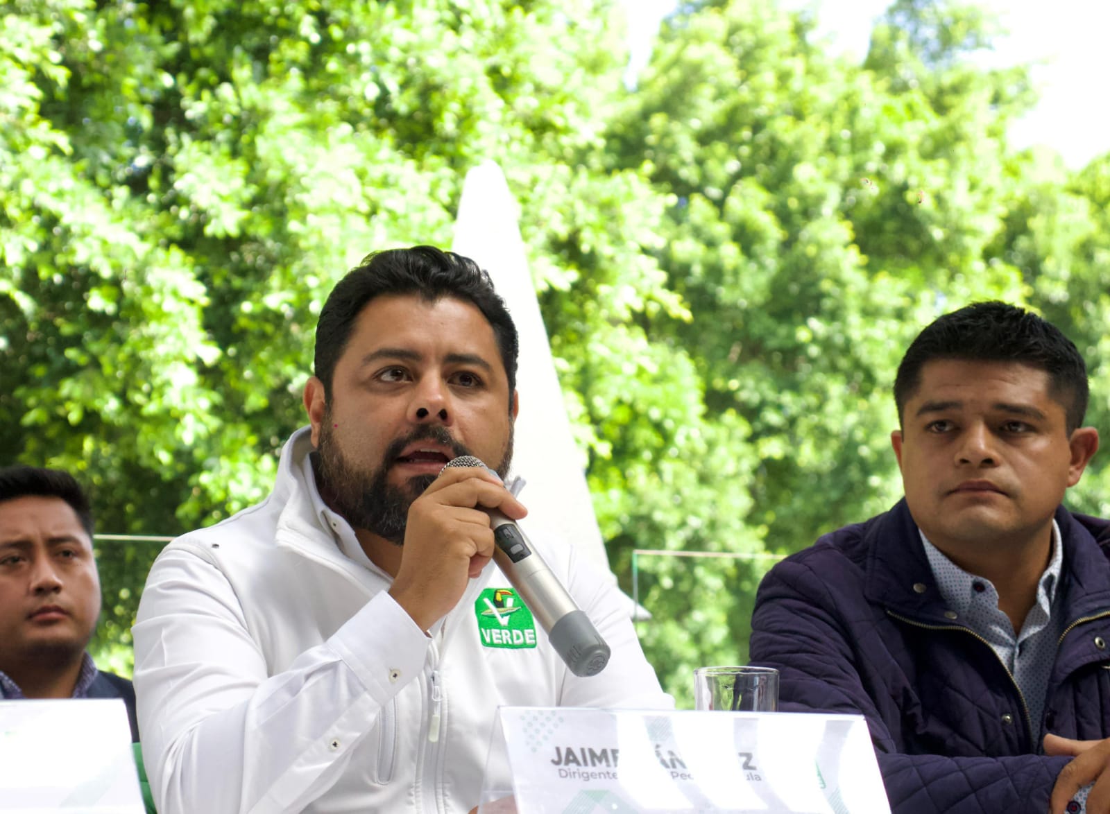 respalda verde a tfd 4jpg