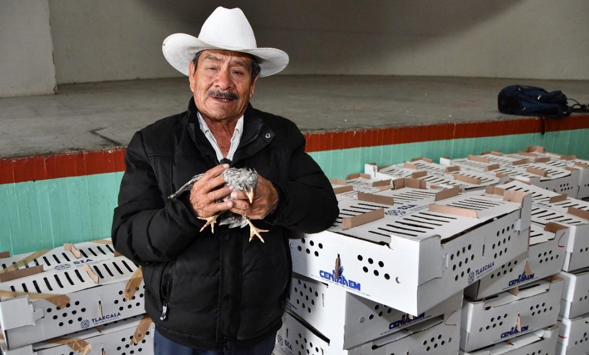 Por: Cortesía Se fortalece la economía y alimentación en Huamantla