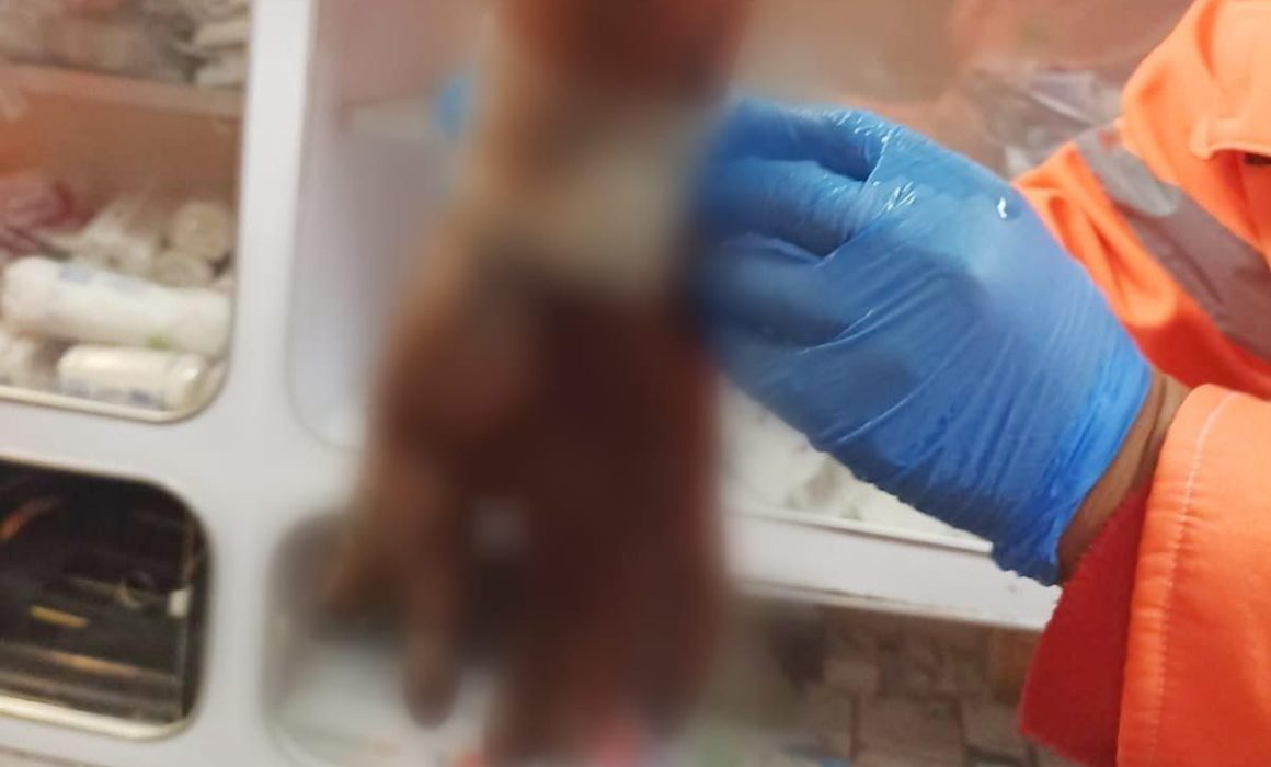 Atiende PC de Huamantla incidente en el fraccionamiento San Carlos