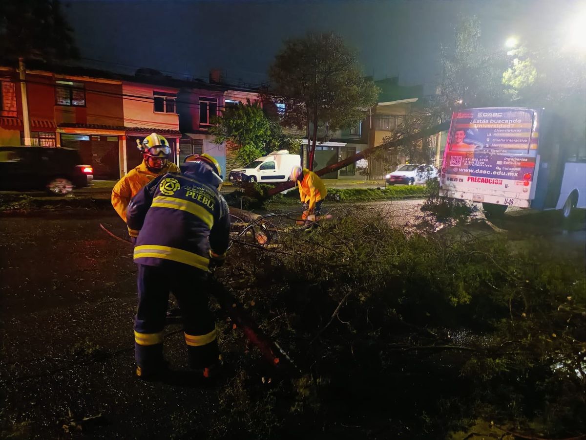 Por: Cortesía Lamenta alcalde de Puebla fallecimiento por caída de árbol durante tormenta