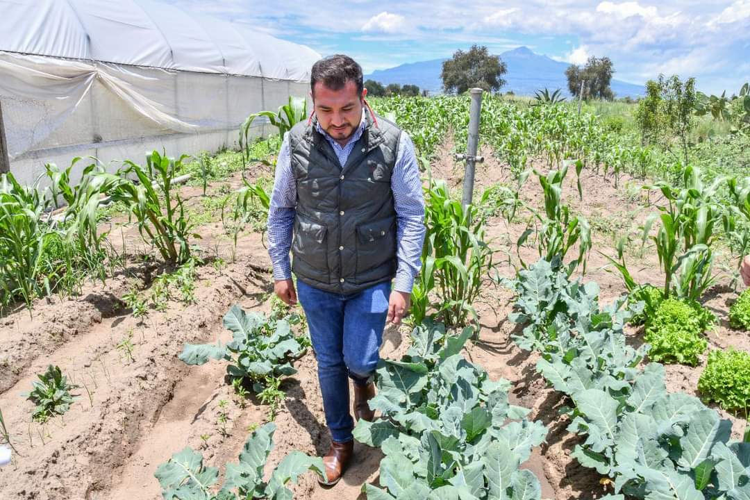 Recurrirá Chava Santos a instancias en defensa del voto tras nulidad de elecciones