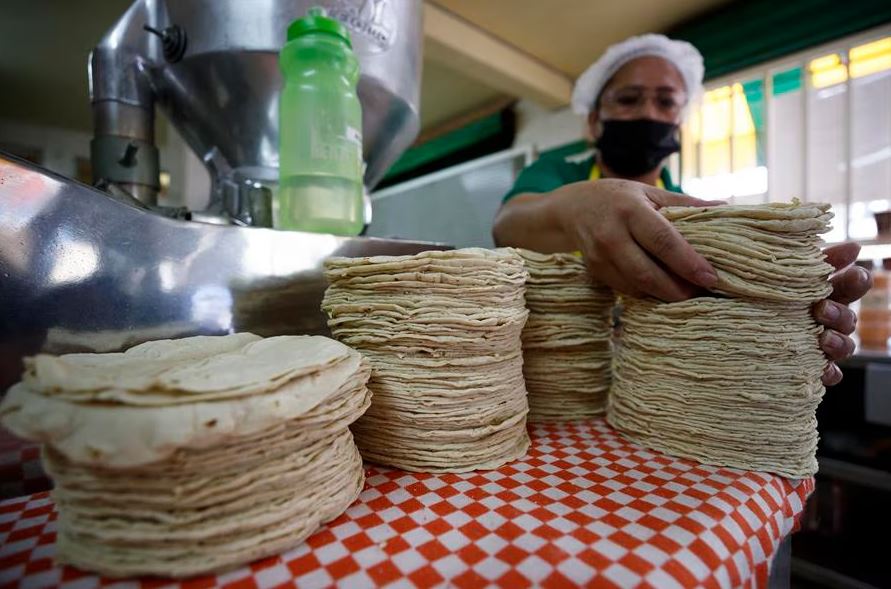 Por: Cortesía Precio de la tortilla