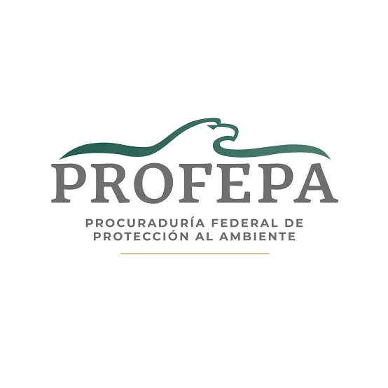 Por: Cortesía  Encontró PROFEPA contenedores con residuos químicos ilegal en Xalostoc