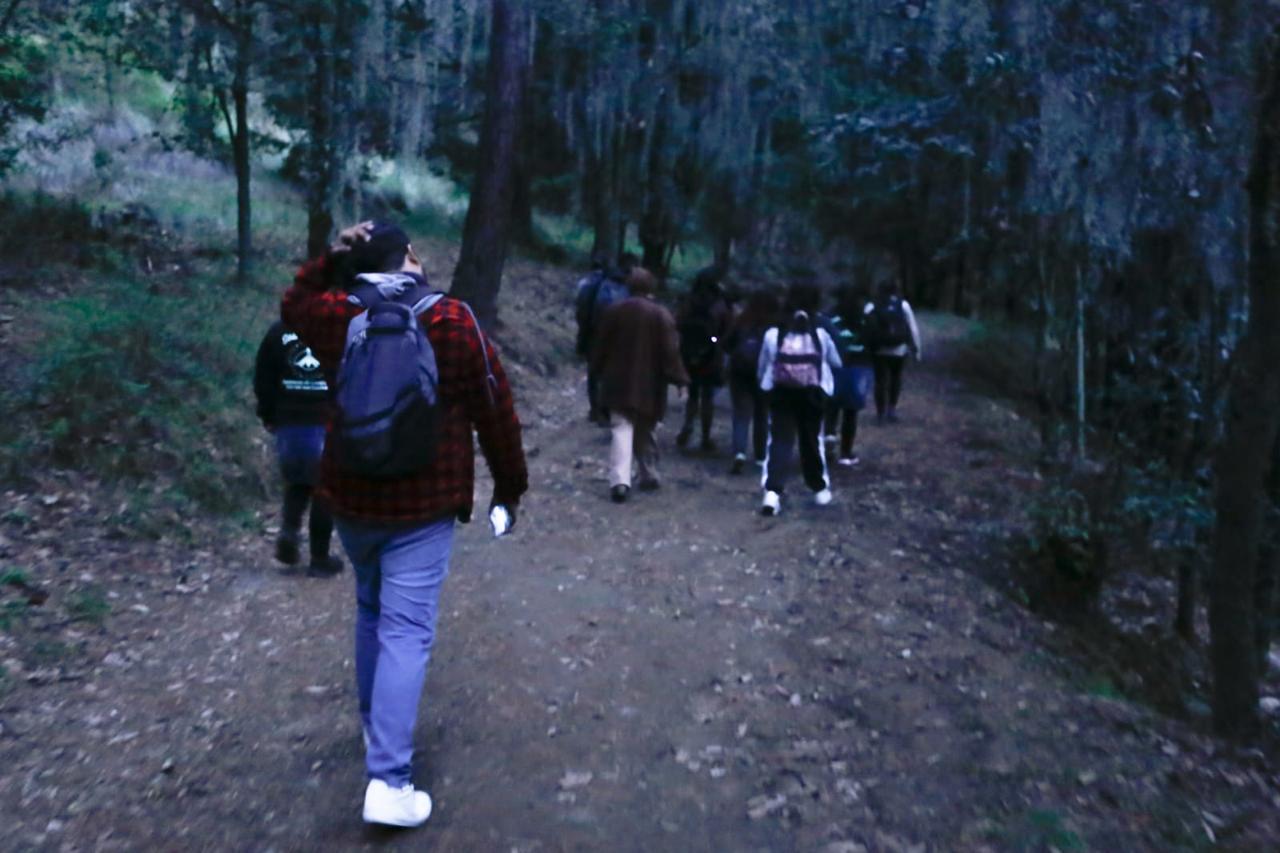 Por: Cortesía Lula Pineda Experiencia única: Temporada de Avistamiento de Luciérnagas 2024