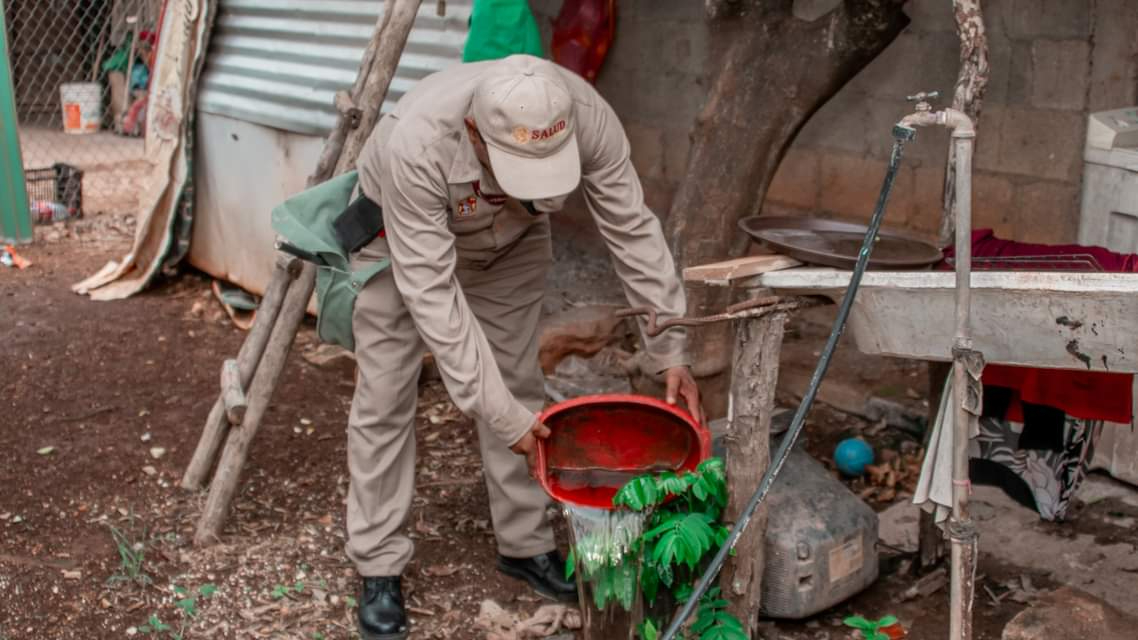 Por: Cortesía Aumentan los casos de dengue ante la temporada de huracanes en México