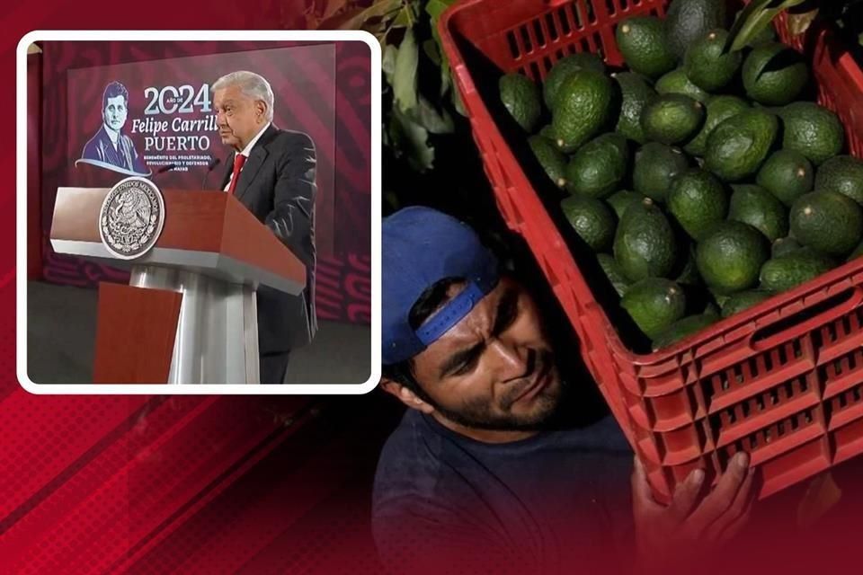 Por: Cortesía AMLO aseguró que el freno de EU al aguacate se resuelve hoy