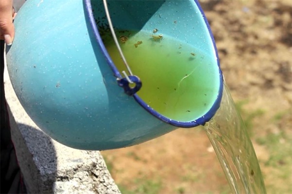 Por: Cortesía Suma Puebla 444 contados de dengue en lo que va del año