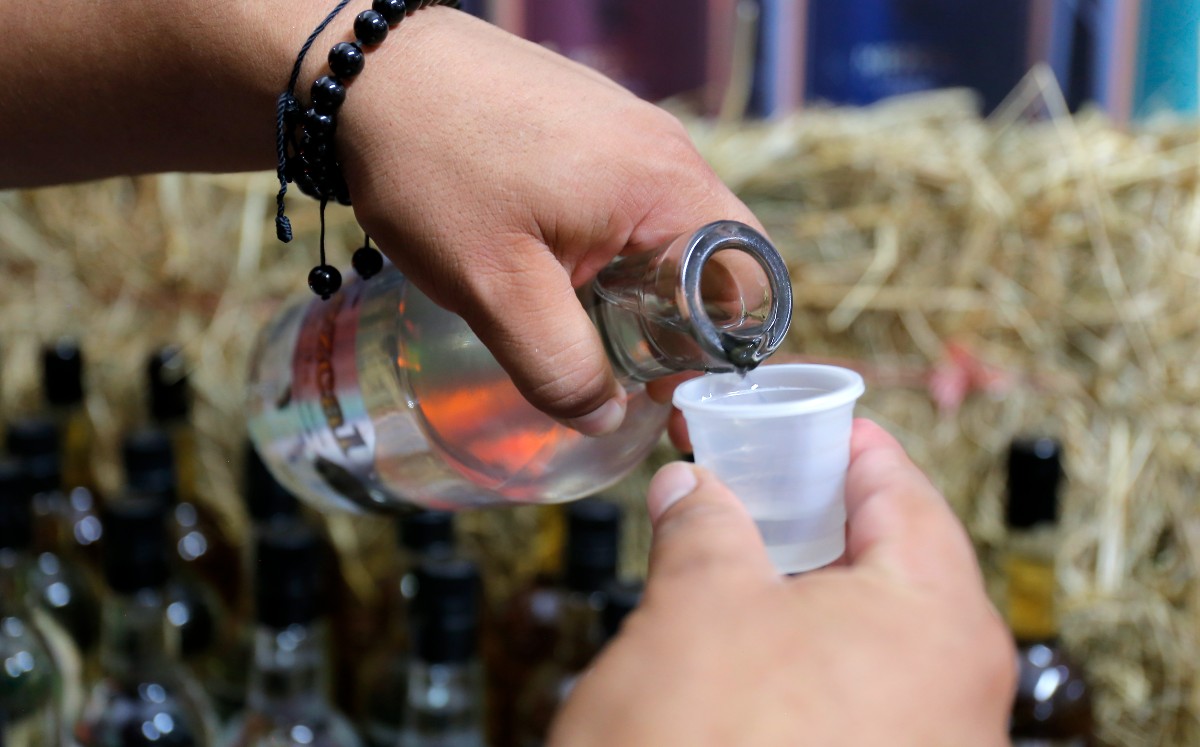 Por: Cortesía Multan al Consejo Mexicano Regulador de la Calidad del Mezcal por más de 4 mil millones