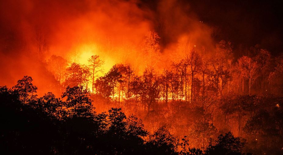 Incendios forestales