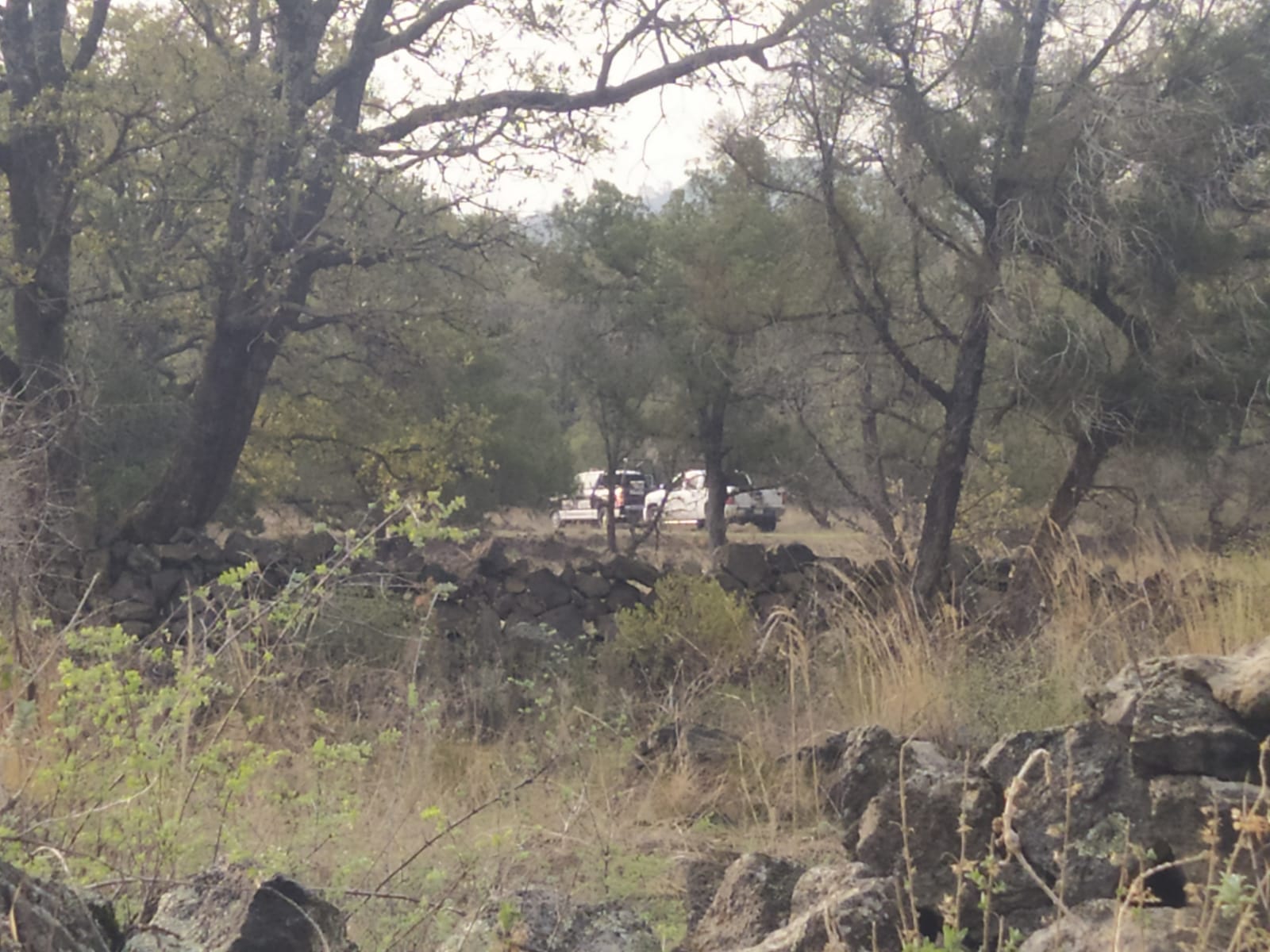 Por: Cortesía Localizan presuntos restos humanos en Tetla