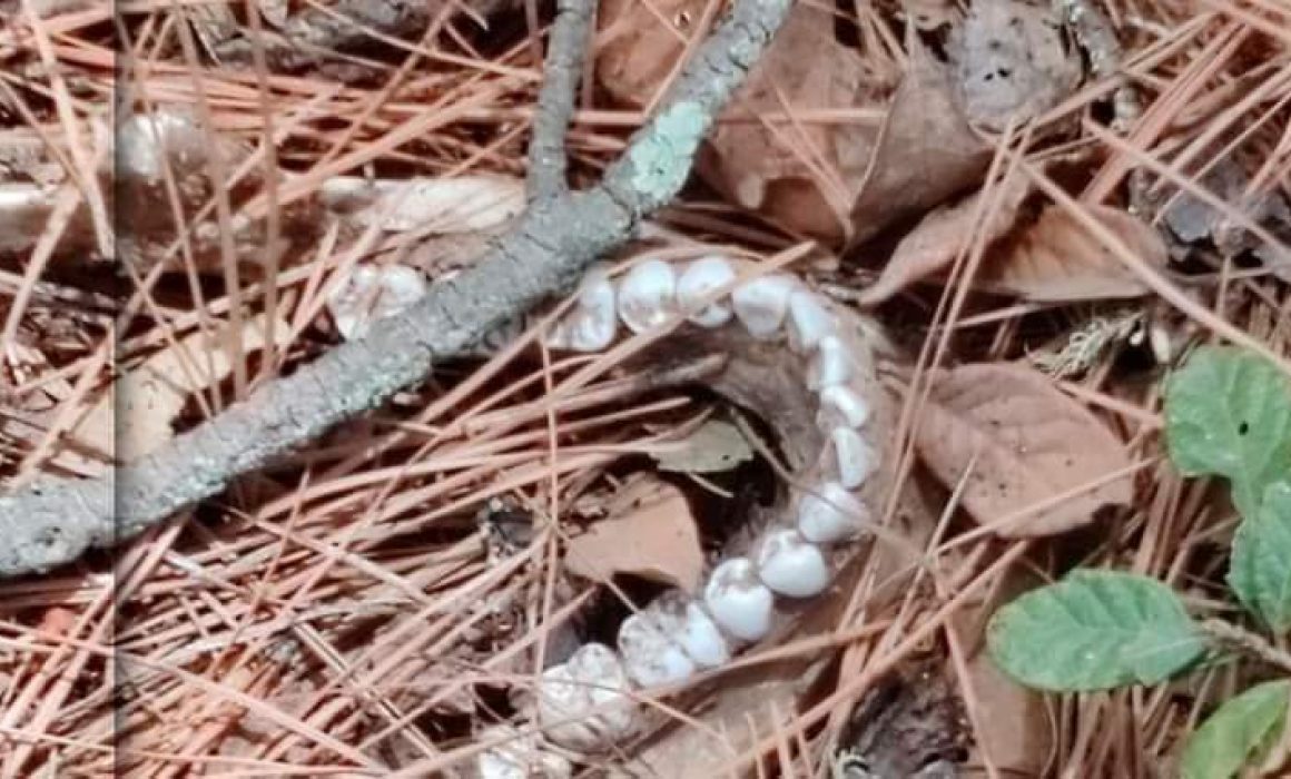 Por: Cortesía Tras incendio, hallan presuntos restos humanos en Tetla