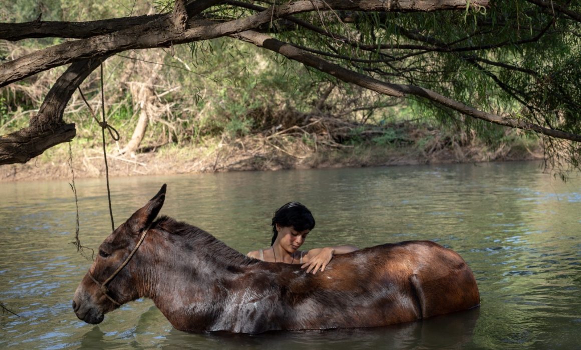 Cine mexicano, el gran protagonista del 39 Festival Internacional de Cine