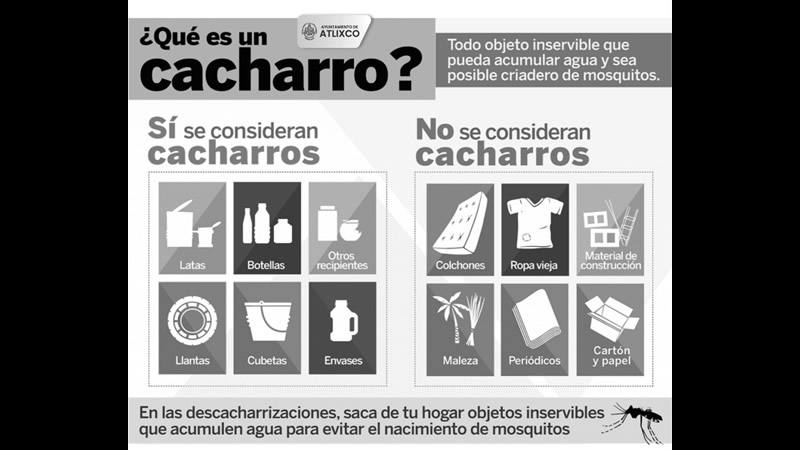 Por: Cortesía Dengue