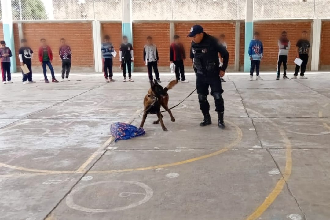 Por: Cortesía Participan estudiantes de Huamantla en el programa “el policía tu amigo”