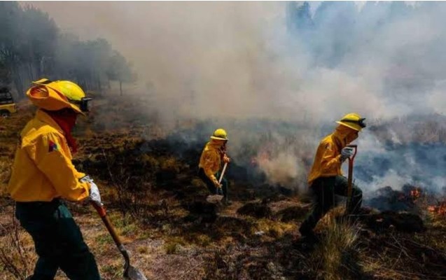 Por: Cortesía Incendios en Parque Amalucan y La Malinche dejaron al menos 80 hectáreas dañadas
