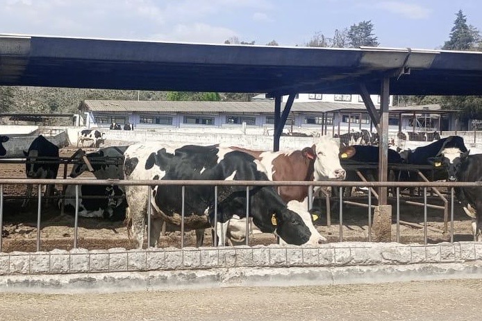 Por: Cortesía Con operativos de seguridad estratégicos se previene el abigeato en Huamantla