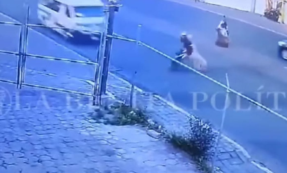 Atropellan a chivarrudo en la Tlaxcala-Puebla, en Guardia, Zacatelco