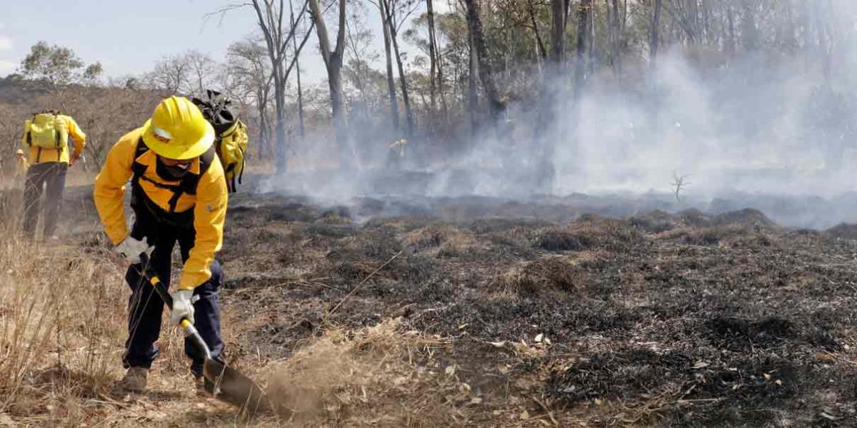 Por: Cortesía  Aumentan incendios en pastizales y predios en Puebla: Protección Civil