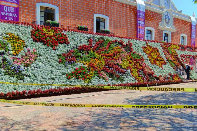 Por: Cortesía Inauguran Mosaico Floral en Atlixco