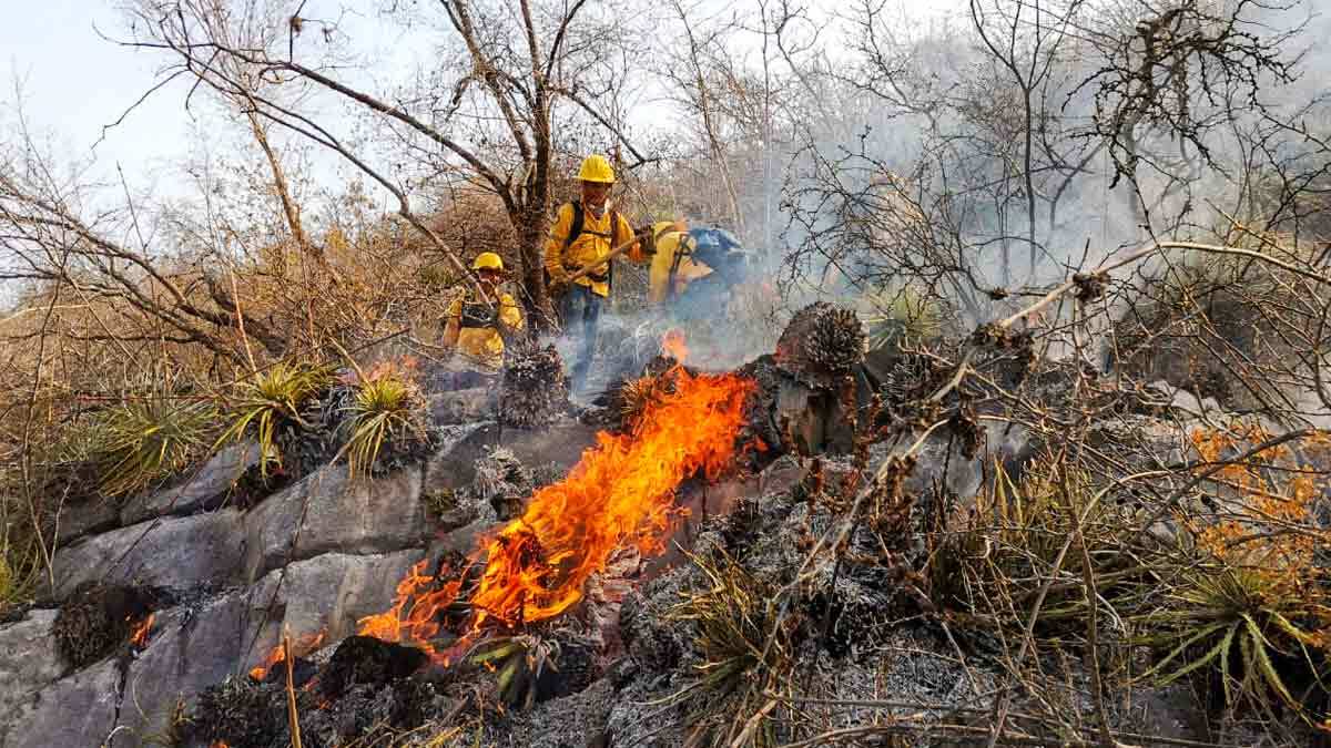 Por: Cortesía Gobierno de Puebla informan sobre brigadas para combatir incendios