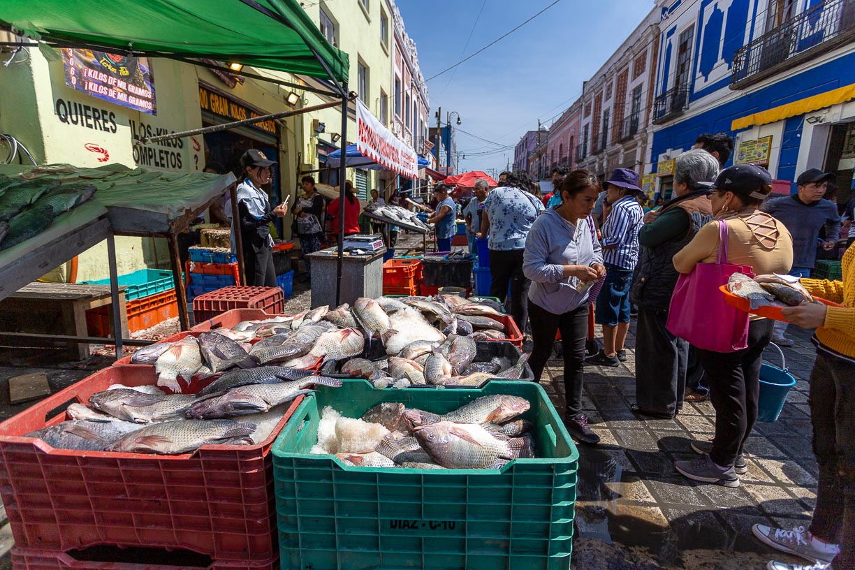 Por: Alex Muñoz  Afluencia alta, pero ventas bajas en el Mercado de Mariscos de la 18 Poniente en Puebla
