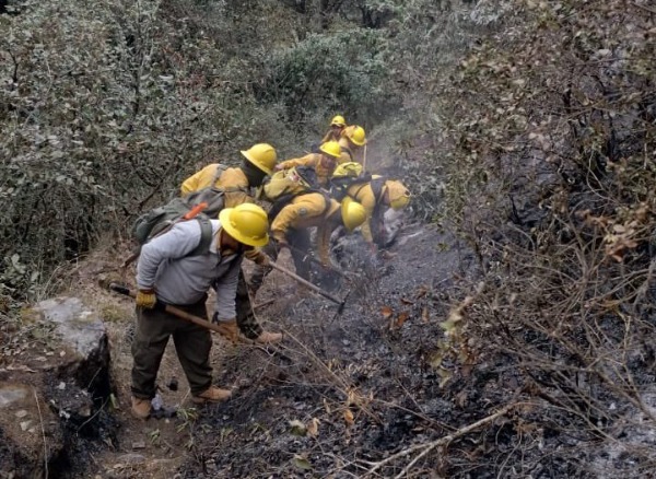 Por: Cortesía Registra Puebla dos incendios forestales activos en Tetela de Ocampo y Aquixtla