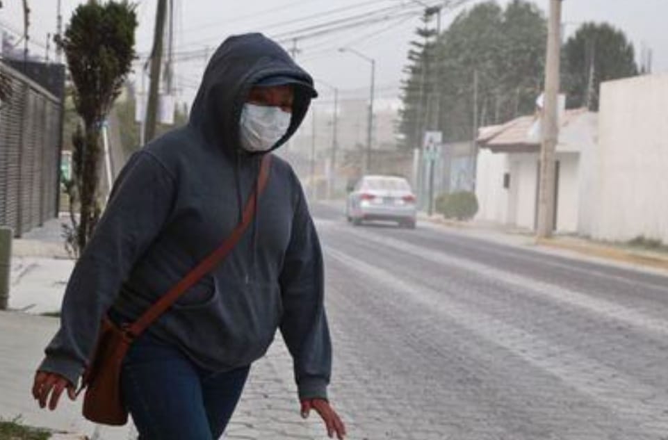 Por: Cortesía Lula Pineda Barrer la ceniza y mantener mascotas resguardadas ante lluvia de ceniza en SACH: Edmundo Tlatehui
