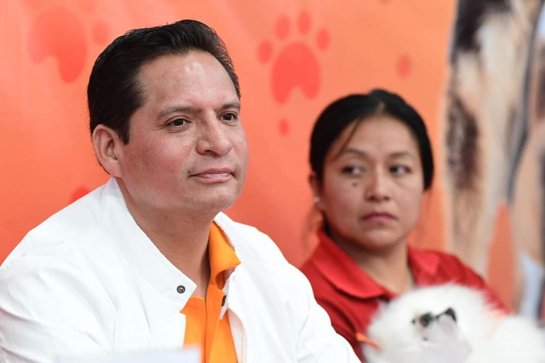 Por: Cortesía Fundación a Favor de México cuestiona trabajos de av. 20 de noviembre, en la capital