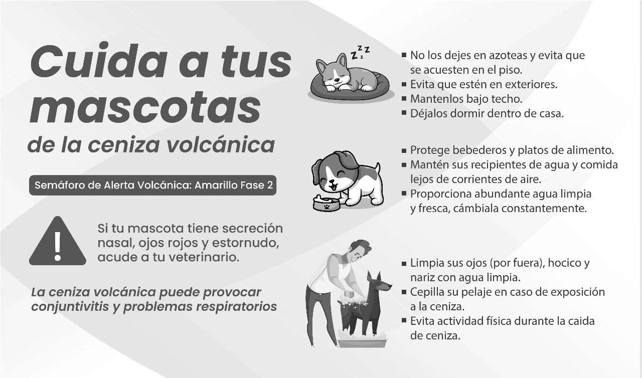 Por: Cortesía Atlixco