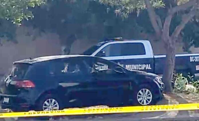 Por: Cortesía Asesinan a jefe de la policía en Tijuana