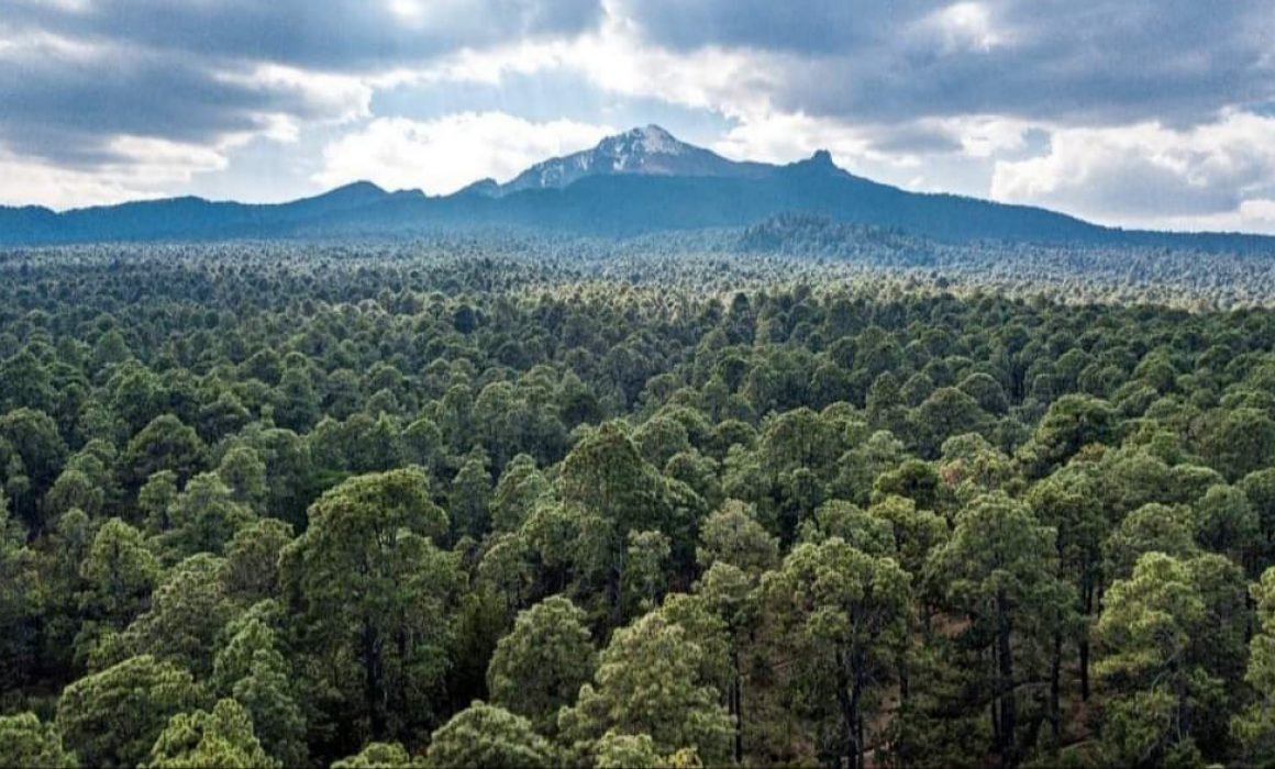 Por: Cortesía Para este martes pronostican lluvias en Tlaxcala