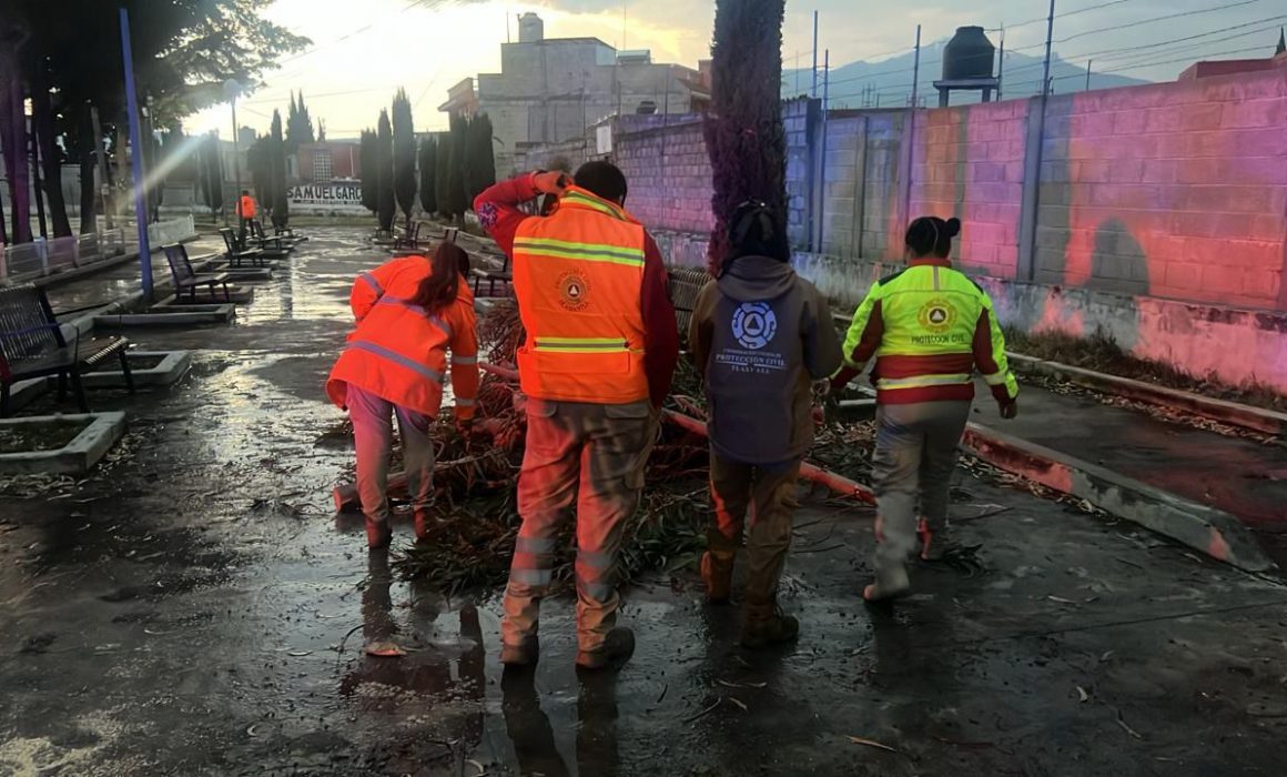 Por: Cortesía Atiende PC de Huamantla reporte por caída de rama de árbol por lluvias moderadas