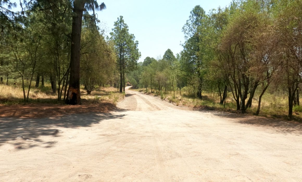 Invita IDET a participar en el primer Trail Raicing series 2024 Malintzi Tlaxcala