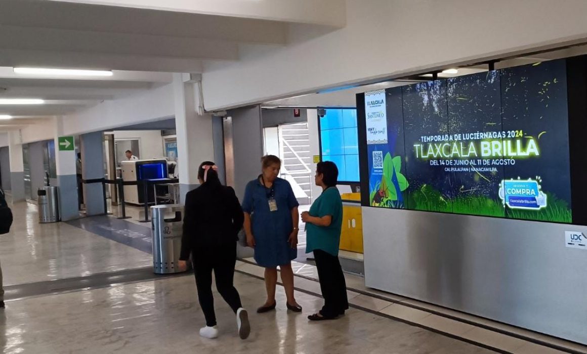 Llega la temporada de luciérnagas 2024 a pantallas del AICM