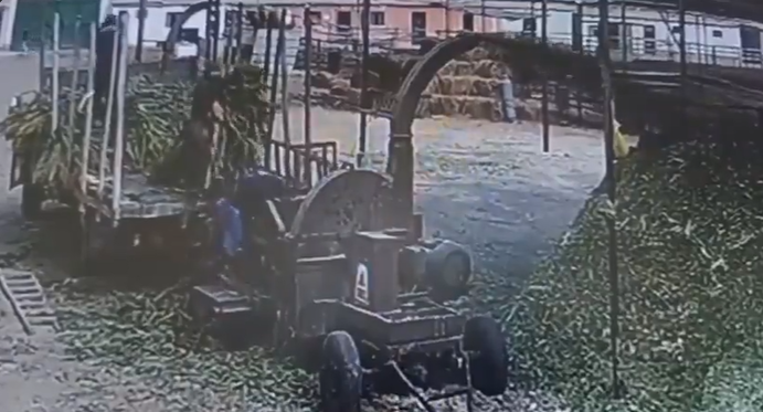 Por: Cortesía Trabajador cae a una trituradora de alimentos