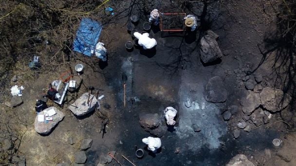 Por: Cortesía Fiscalía CDMX asegura que los restos encontrados en la fosa clandestina son de animales