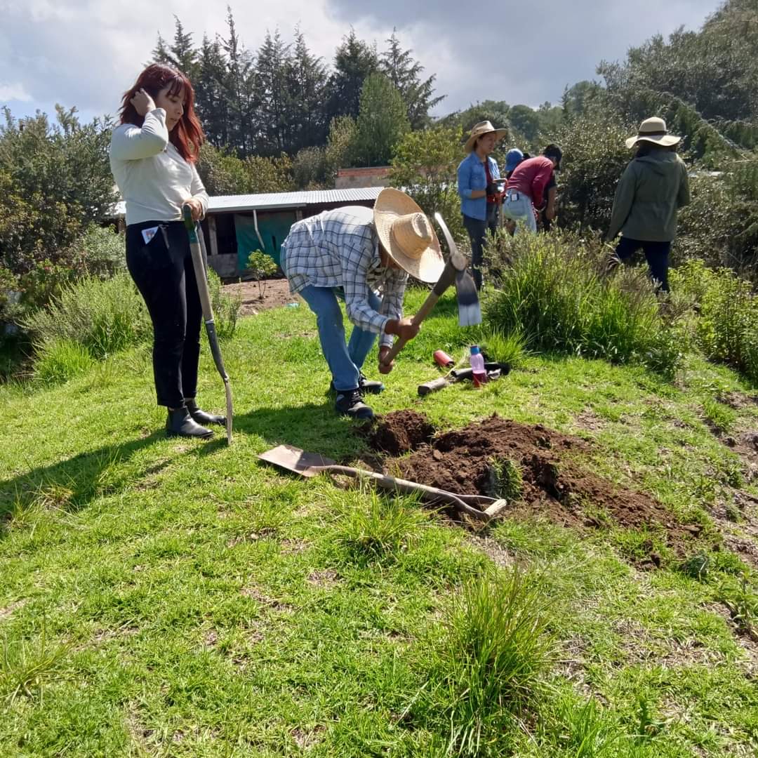 Por: Archivo  Colectivo Malintzi se deslinda de expresiones políticas