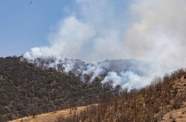 Por: Cortesía En cinco meses Puebla registra 366 incendios forestales