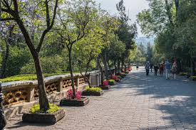 Por: Cortesía Una mujer fue abusada en Bosque de Chapultepec