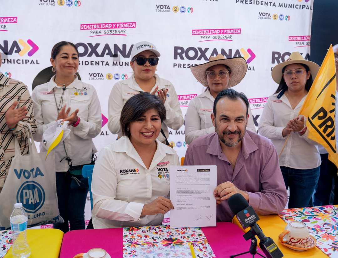 RLP Asociación New Visión 3