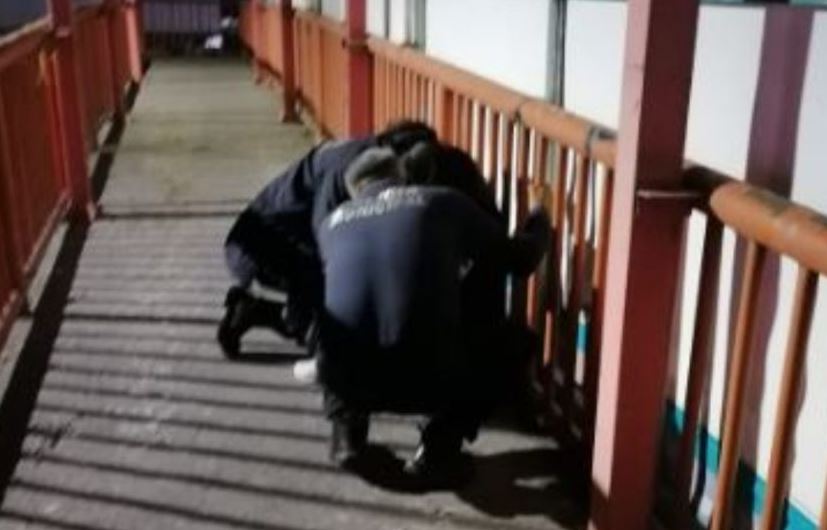 Por: Cortesía Rescate heroico en Ixmiquilpan: Policía salva a joven que intentaba suicidarse