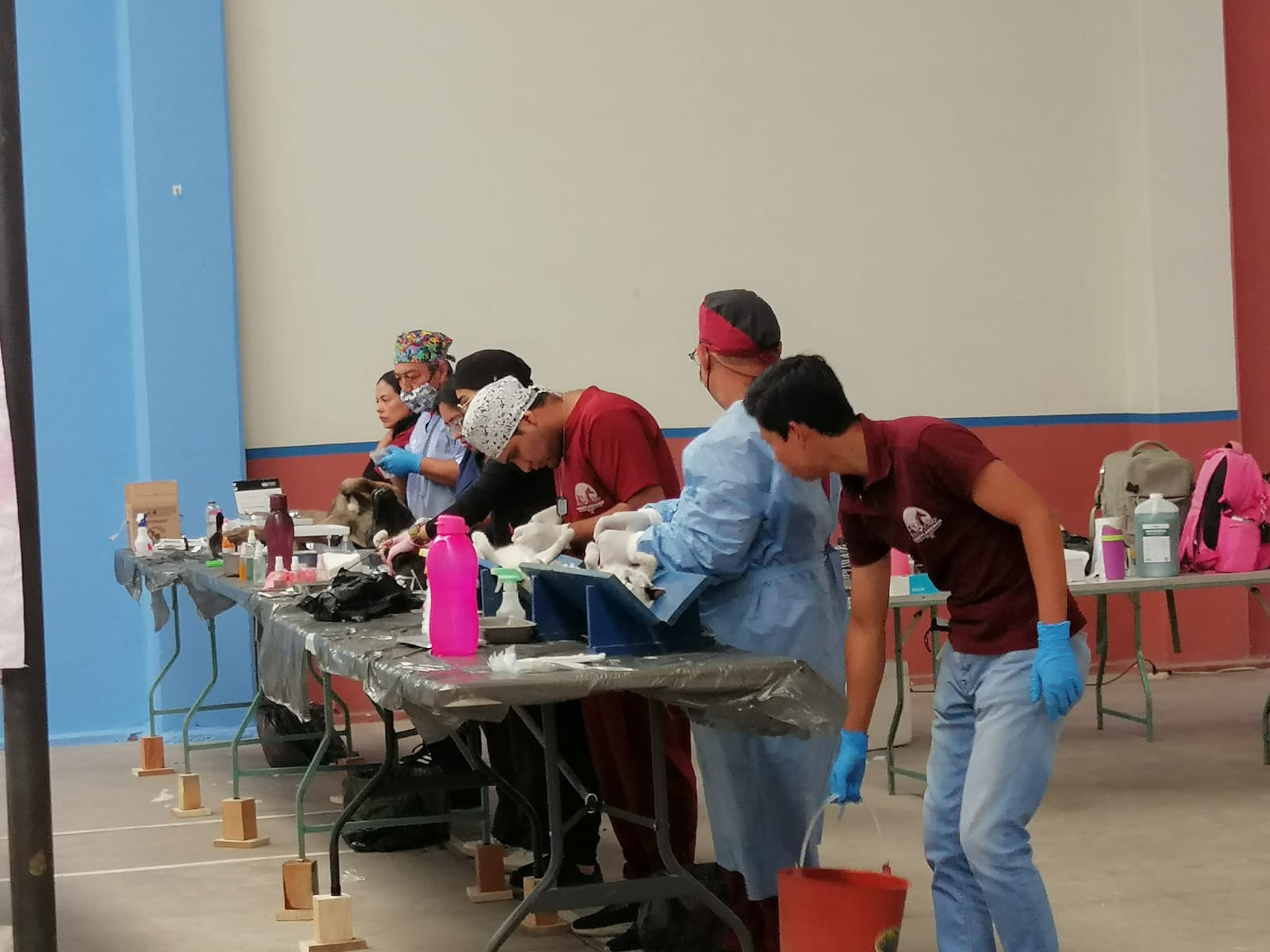 Encabeza Omar Muñoz Segunda Jornada de Esterilización para Perros y Gatos en Cuautlancingo