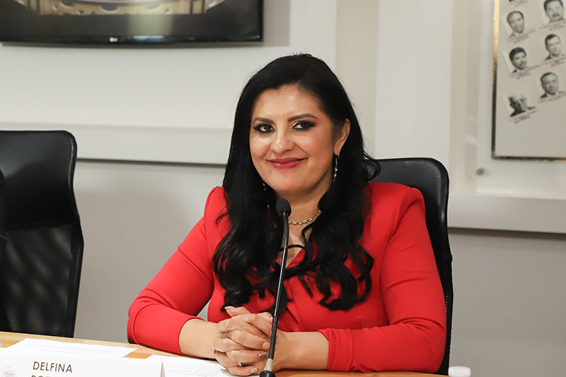 Por: Cortesía Diputada Delfina Pozos respalda propuesta de castración química en Puebla