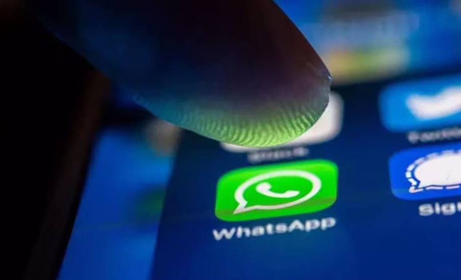 Por: Cortesía Libera espacio en WhatsApp y mejora el rendimiento de tu celular