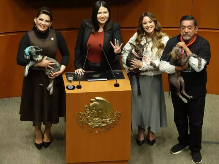Por: Cortesía Senado aprueba reforma para garantizar el bienestar y la protección de los animales