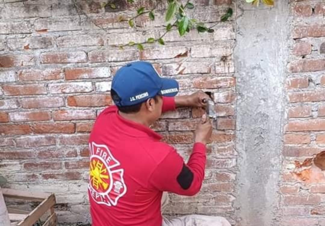 Por: Cortesía Lula Pineda San Pedro Cholula protege a las mascotas